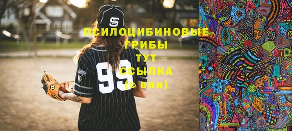СК Краснослободск