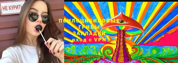 СК Краснослободск
