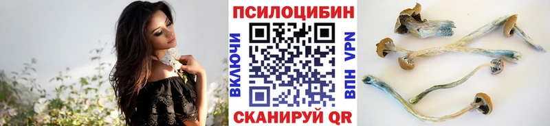 Купить где  Десногорск  Псилоцибиновые грибы MAGIC MUSHROOMS 